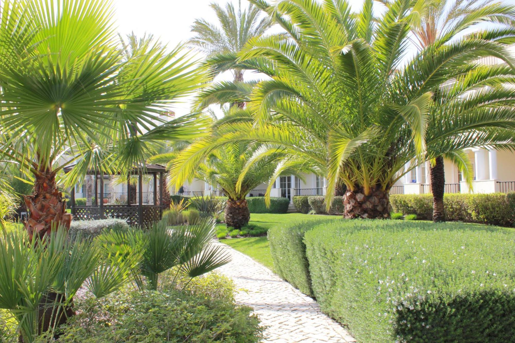 Luxury 3 Bedroom Apartment On Gated Complex Quarteira Eksteriør billede
